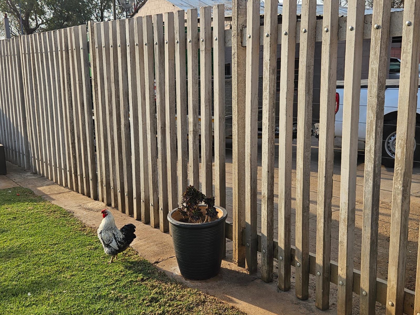 Precast Fence Image 4